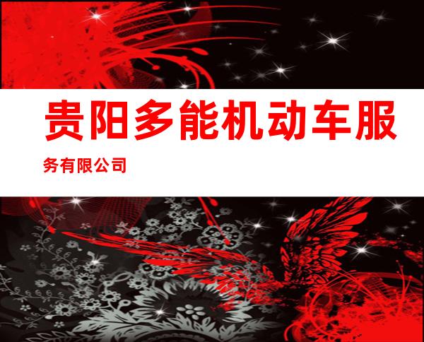 贵阳多能机动车服务有限公司