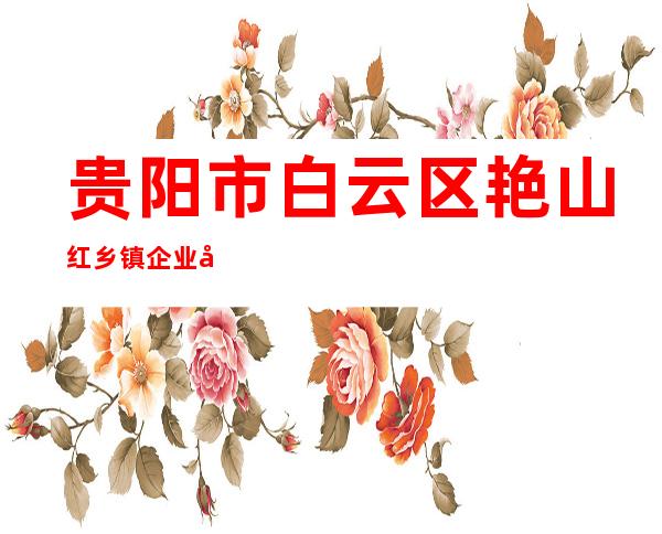 贵阳市白云区艳山红乡镇企业公司