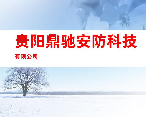 贵阳鼎驰安防科技有限公司