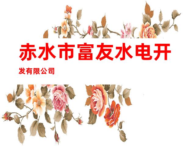 赤水市富友水电开发有限公司