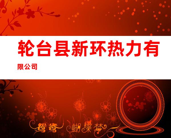 轮台县新环热力有限公司