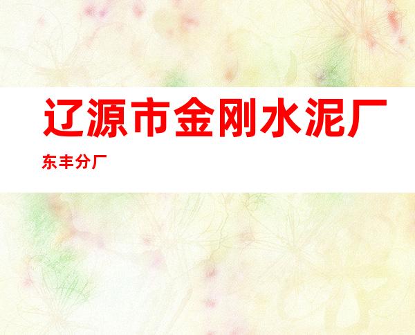 辽源市金刚水泥厂东丰分厂