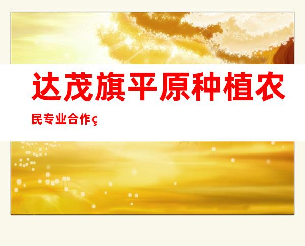 达茂旗平原种植农民专业合作社
