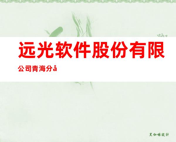远光软件股份有限公司青海分公司