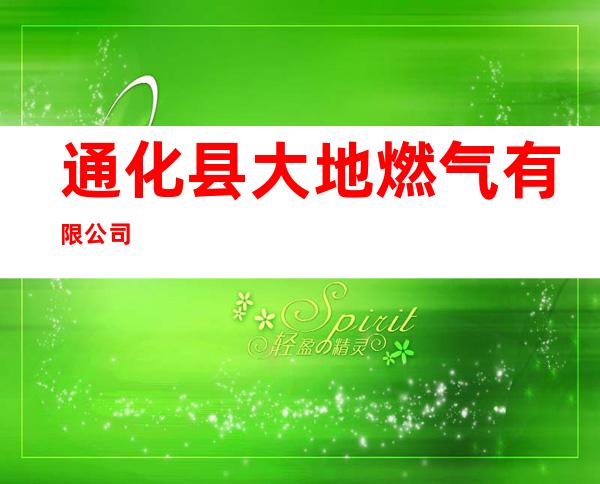 通化县大地燃气有限公司