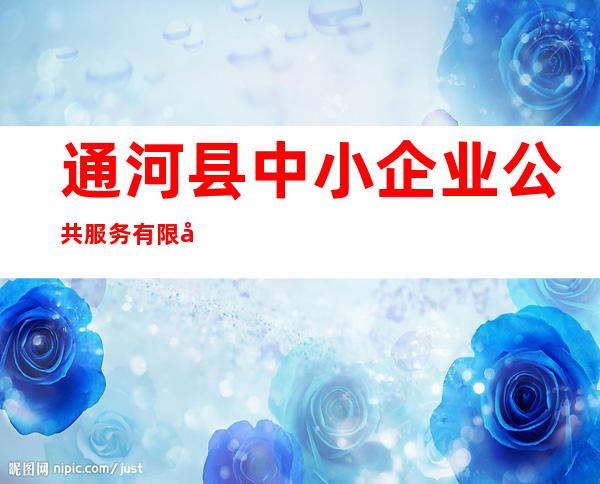 通河县中小企业公共服务有限公司