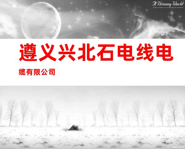 遵义兴北石电线电缆有限公司