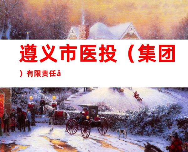 遵义市医投（集团）有限责任公司