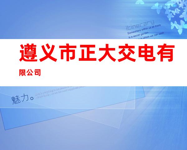 遵义市正大交电有限公司