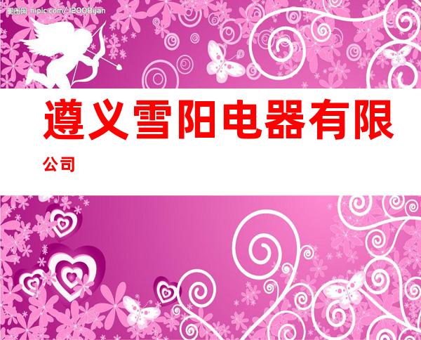 遵义雪阳电器有限公司