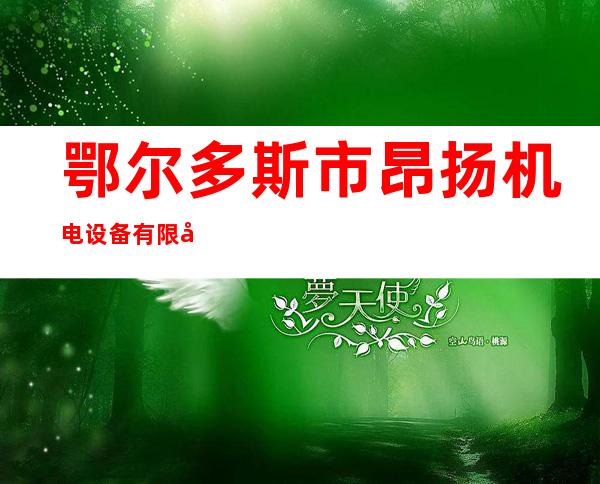 鄂尔多斯市昂扬机电设备有限公司