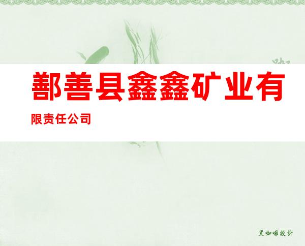 鄯善县鑫鑫矿业有限责任公司
