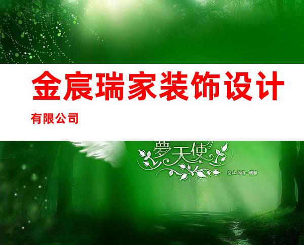 金宸瑞家装饰设计有限公司