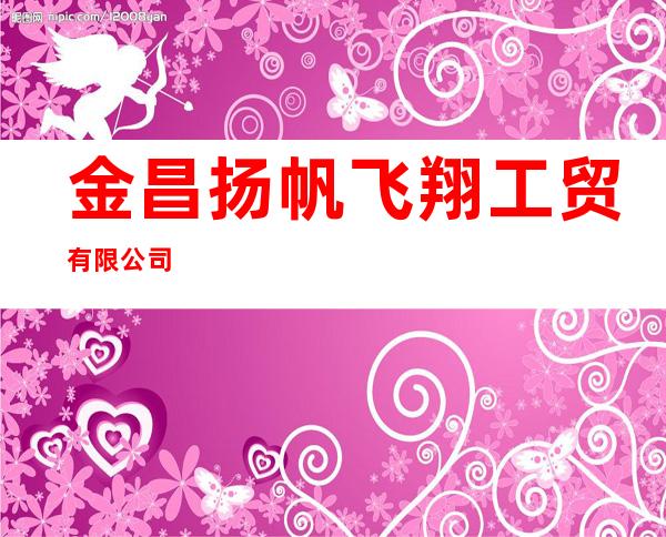 金昌扬帆飞翔工贸有限公司