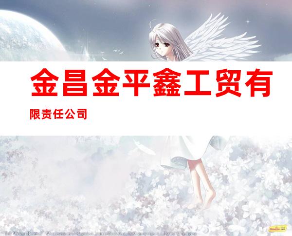 金昌金平鑫工贸有限责任公司