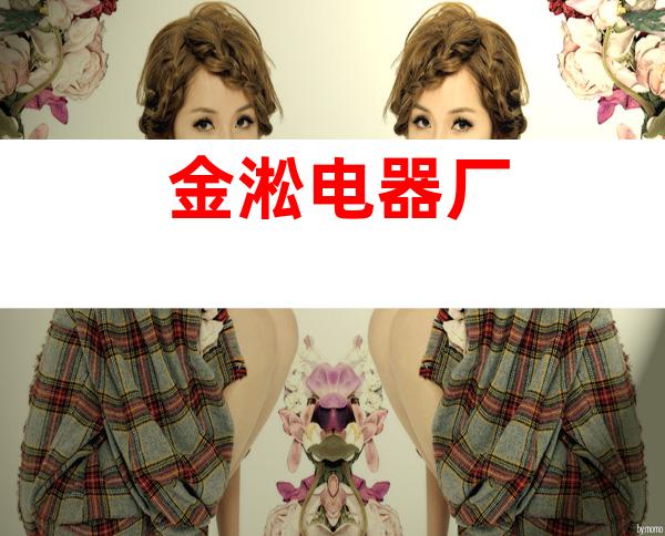 金淞电器厂
