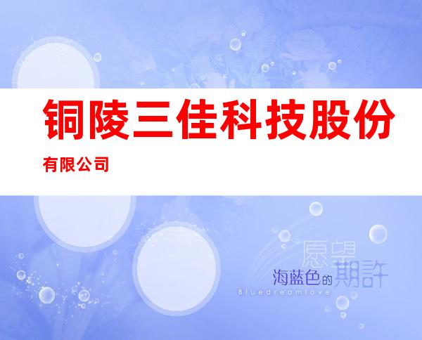 铜陵三佳科技股份有限公司