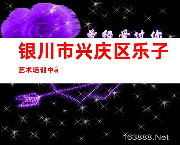 银川市兴庆区乐子艺术培训中心有限公司