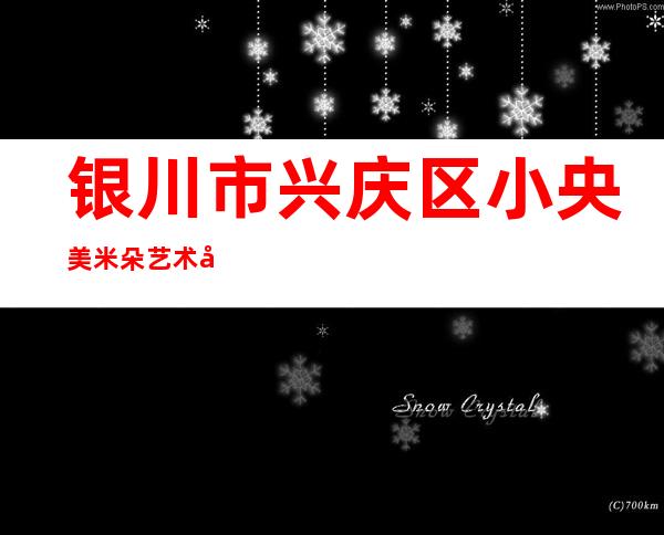 银川市兴庆区小央美米朵艺术培训中心有限公司
