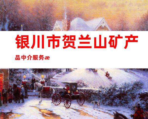 银川市贺兰山矿产品中介服务有限公司