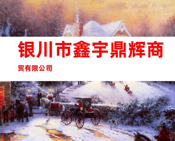银川市鑫宇鼎辉商贸有限公司