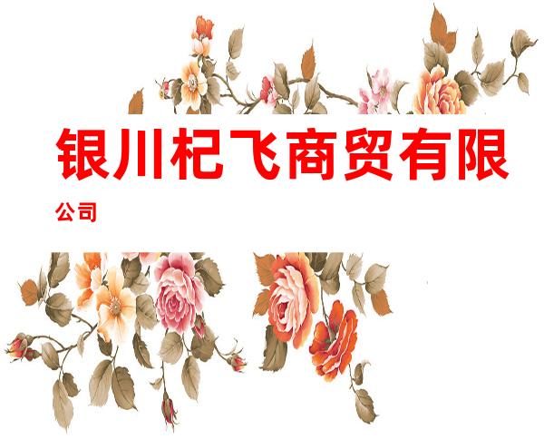 银川杞飞商贸有限公司