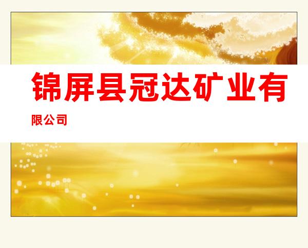 锦屏县冠达矿业有限公司