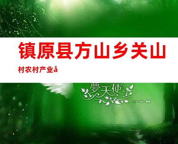 镇原县方山乡关山村农村产业发展资金专业合作社