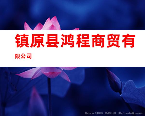 镇原县鸿程商贸有限公司