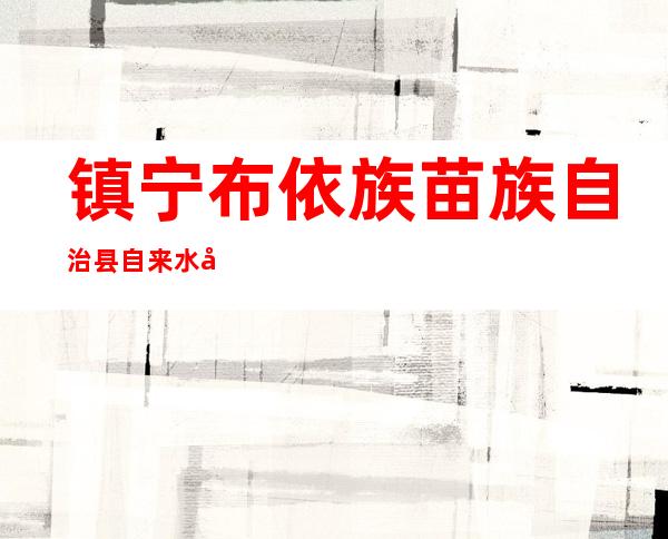 镇宁布依族苗族自治县自来水公司