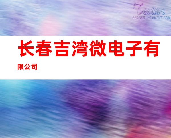 长春吉湾微电子有限公司