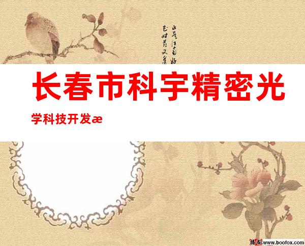长春市科宇精密光学科技开发有限公司