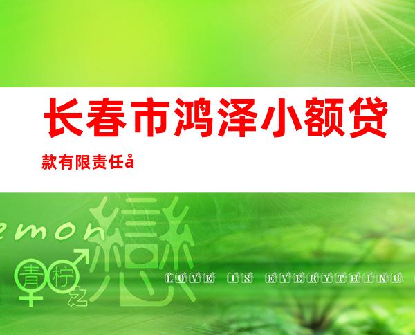 长春市鸿泽小额贷款有限责任公司