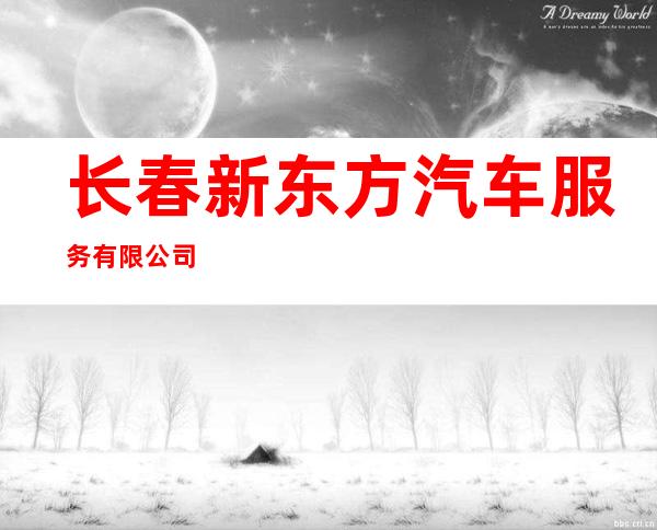 长春新东方汽车服务有限公司
