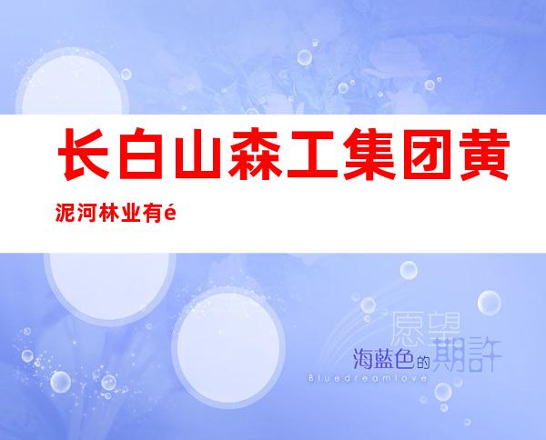 长白山森工集团黄泥河林业有限公司勘察设计队