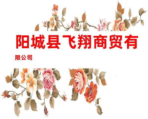 阳城县飞翔商贸有限公司