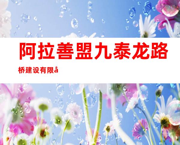 阿拉善盟九泰龙路桥建设有限公司
