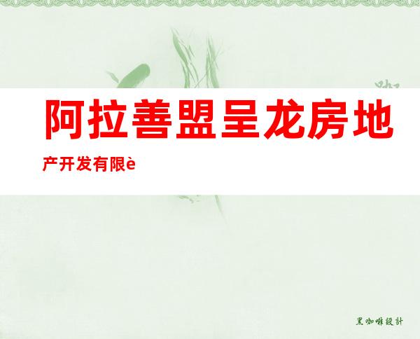 阿拉善盟呈龙房地产开发有限责任公司额济纳旗分公司