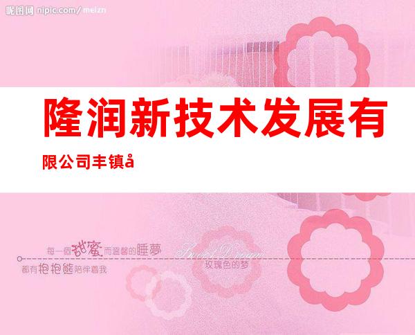 隆润新技术发展有限公司丰镇市分公司