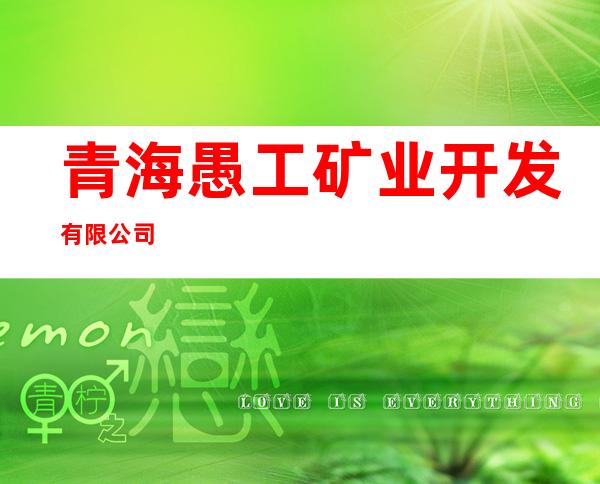 青海愚工矿业开发有限公司