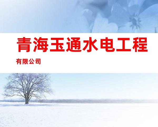 青海玉通水电工程有限公司