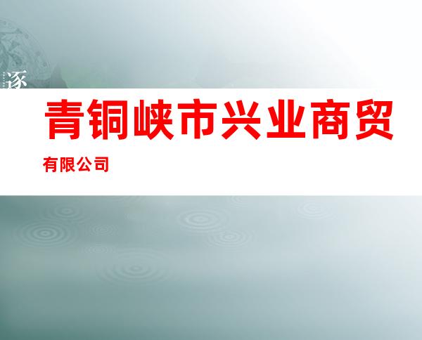 青铜峡市兴业商贸有限公司