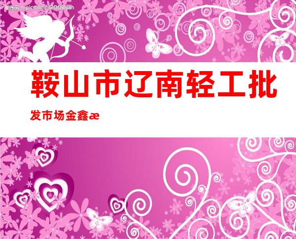 鞍山市辽南轻工批发市场金鑫批发部