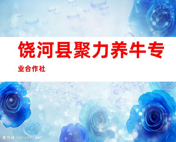 饶河县聚力养牛专业合作社