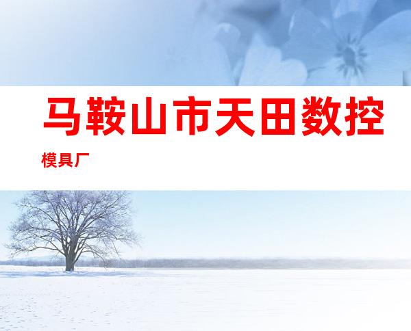 马鞍山市天田数控模具厂