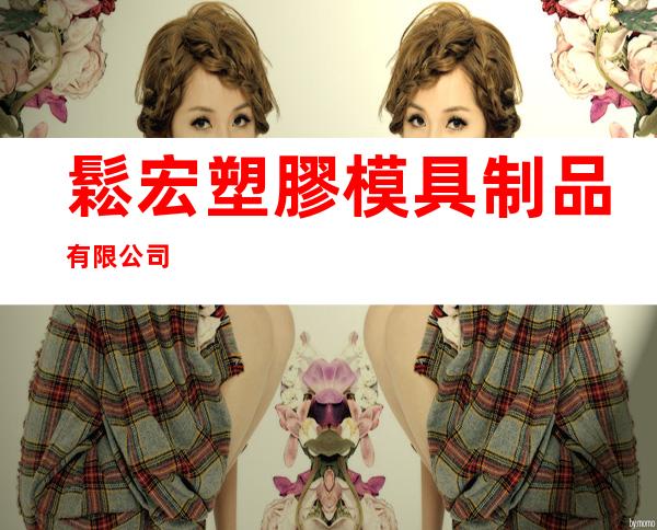 鬆宏塑膠模具制品有限公司