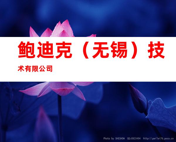 鲍迪克（无锡）技术有限公司