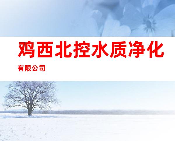 鸡西北控水质净化有限公司