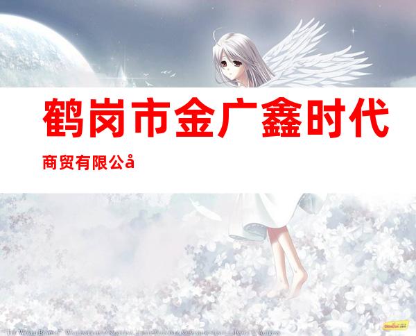 鹤岗市金广鑫时代商贸有限公司