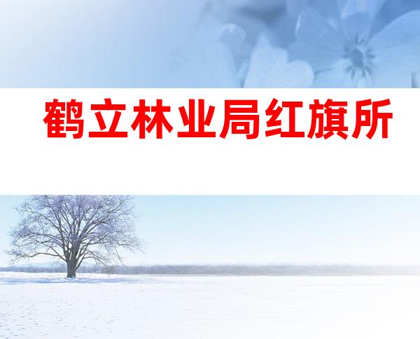 鹤立林业局红旗所
